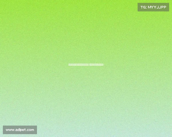 凯尔凯兹赞维尔茨带球能力出众 技术动作堪称独一无二